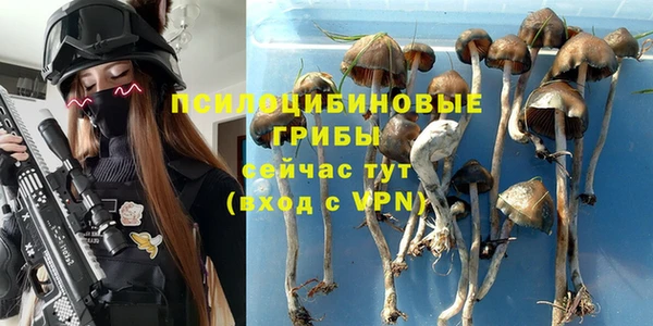 мяу мяу кристалл Горняк
