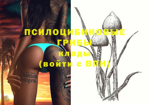 мяу мяу кристалл Горняк